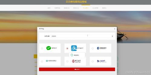 基于Node.js与Vue的贝贝熊母婴用品商城设计与实现